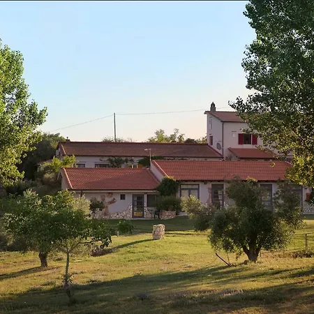 Agriturismo Arte et Agricoltura Villa Tuscania Esterno foto
